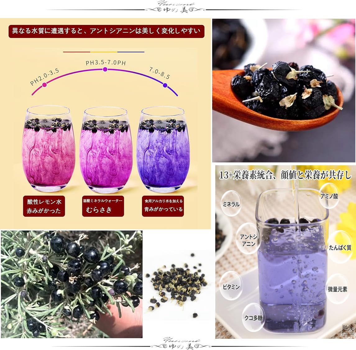 Amazon | 黒枸杞 黒クコ実 100％天然野生 35g 軟黄金 ゴジベリー 黒く